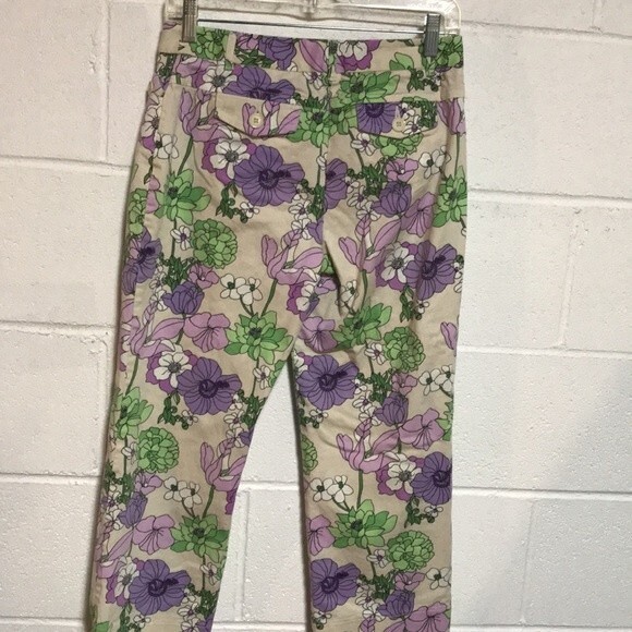 Ann Taylor Loft Capris 4 PT - Picture 5 of 7